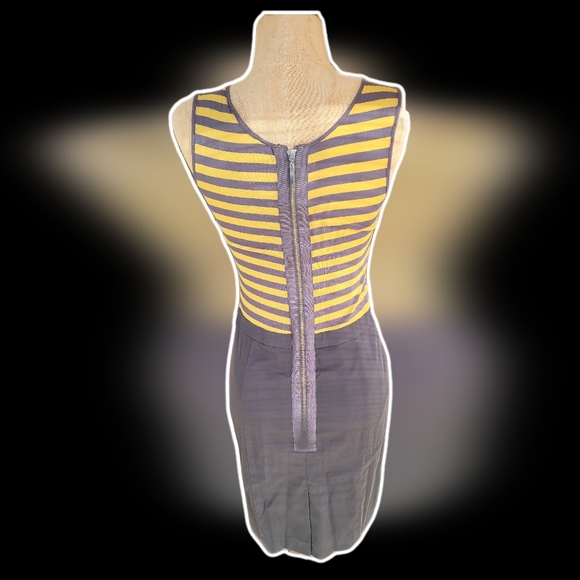 BCBGMAXAZRIA Citron Striped Women's Dress New With Tags NWT Grey Yellow Small - Picture 3 of 7